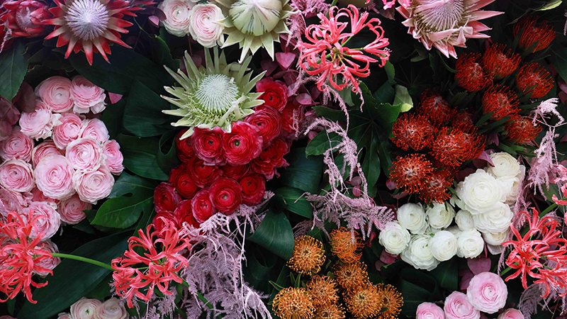 Freshsolutionsflowersthenetherlands